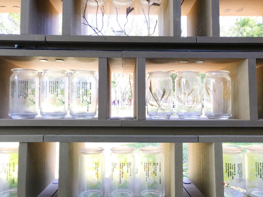 台中花博后里森林園區最強教戰攻略