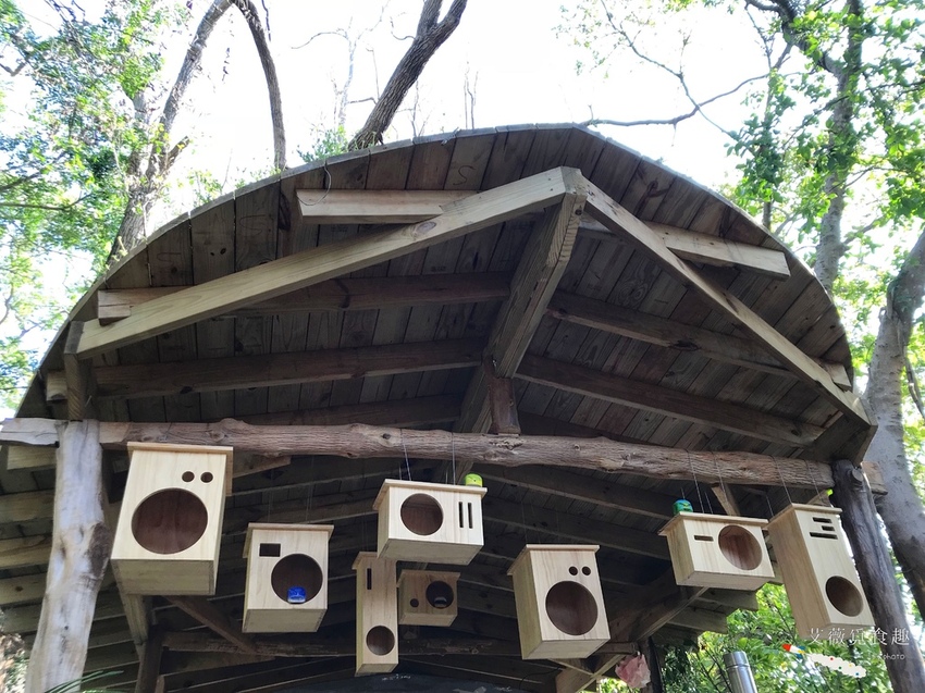 台中花博后里森林園區最強教戰攻略