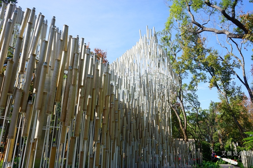台中花博后里森林園區最強教戰攻略