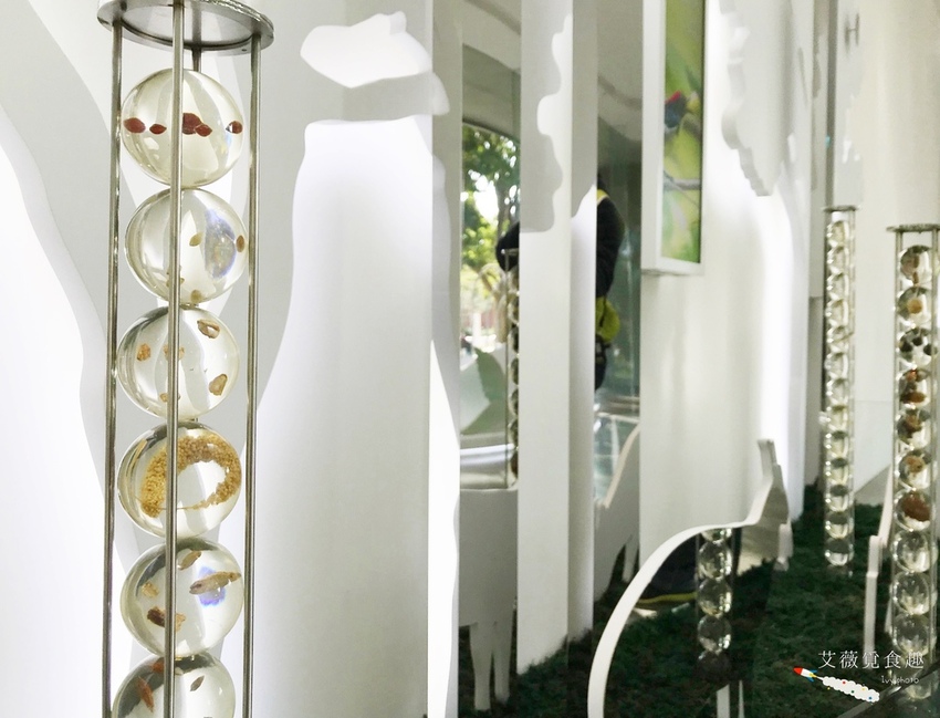 台中花博后里森林園區最強教戰攻略