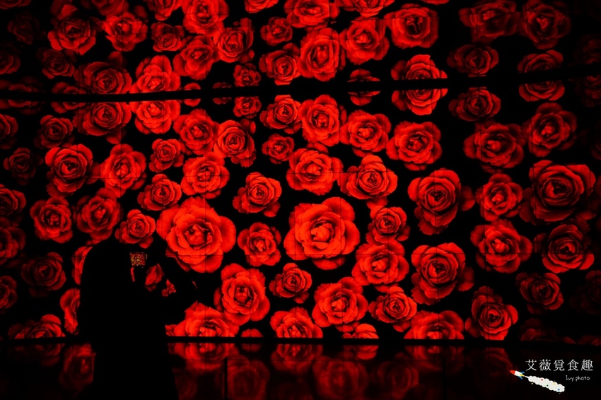 台中花博后里森林園區最強教戰攻略