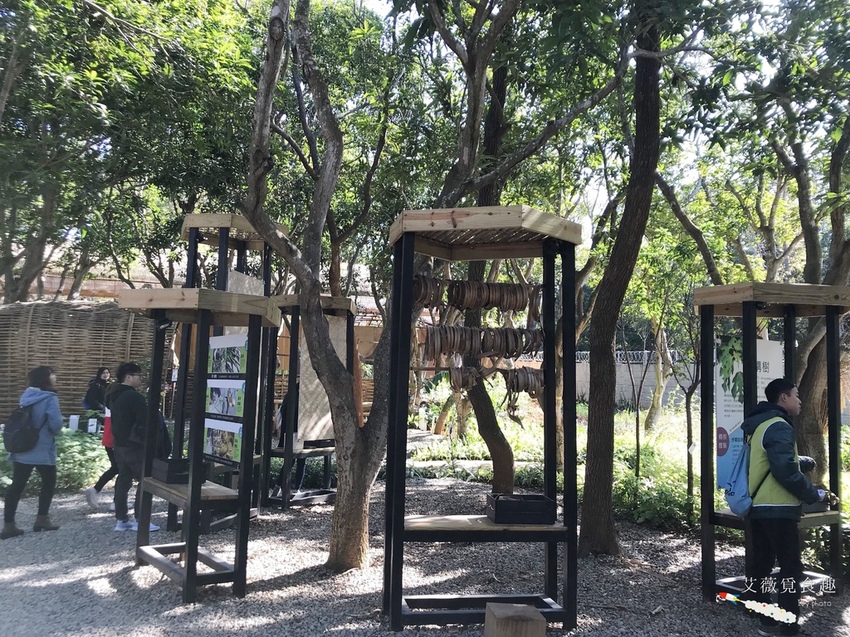 台中花博后里森林園區最強教戰攻略