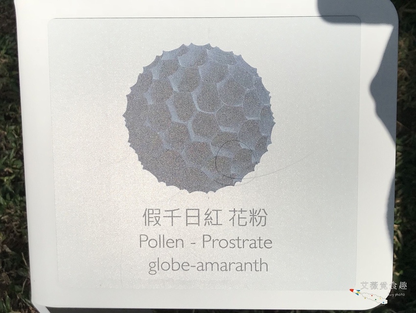 台中花博后里森林園區最強教戰攻略