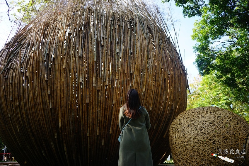 台中花博后里森林園區最強教戰攻略