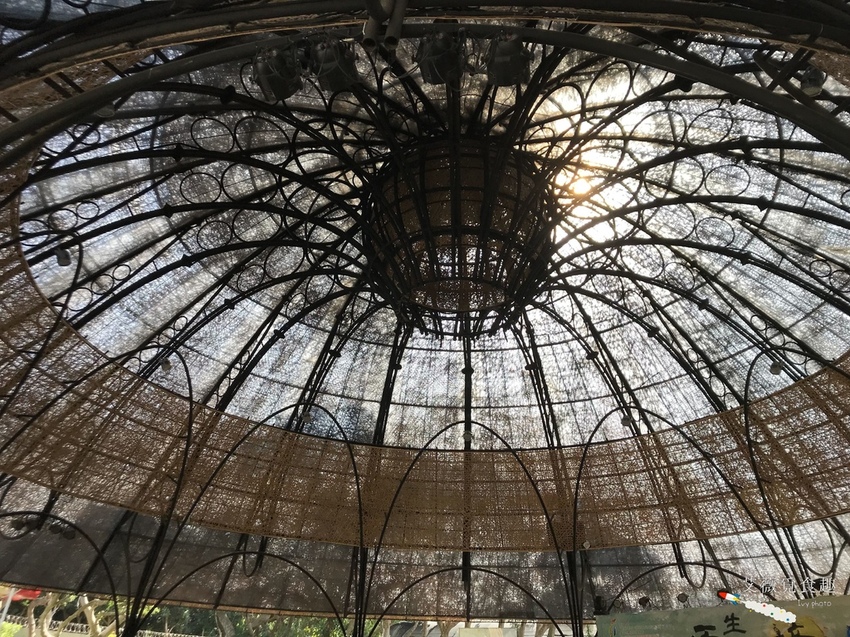 台中花博后里森林園區最強教戰攻略