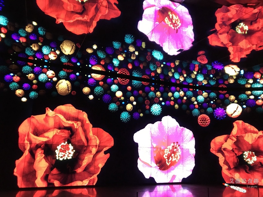 台中花博后里森林園區最強教戰攻略