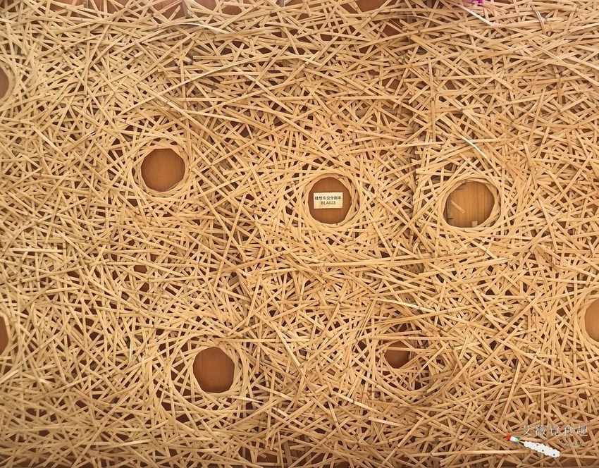 台中花博后里森林園區最強教戰攻略