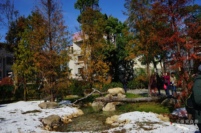 台中花博后里森林園區最強教戰攻略