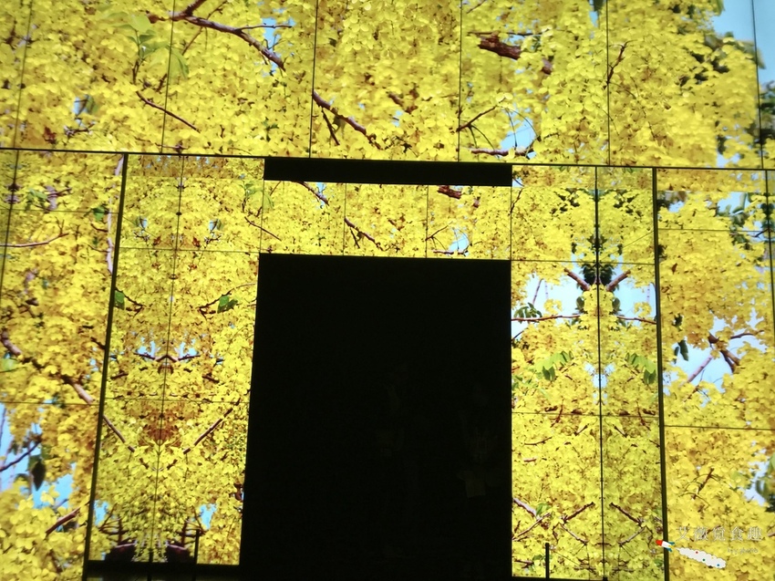 台中花博后里森林園區最強教戰攻略