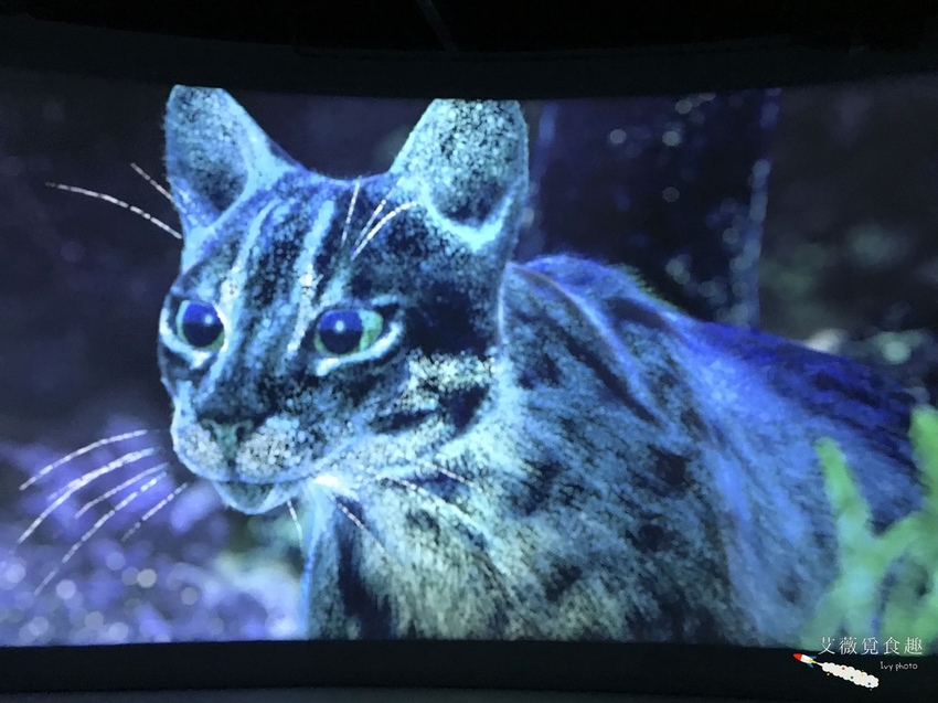 台中花博后里森林園區最強教戰攻略