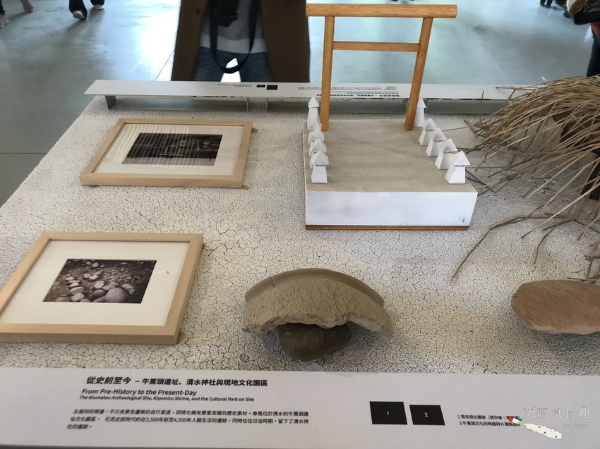 台中花博后里森林園區最強教戰攻略