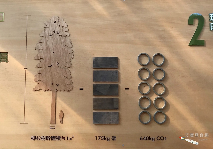 台中花博后里森林園區最強教戰攻略