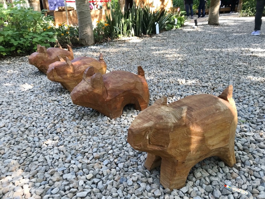 台中花博后里森林園區最強教戰攻略