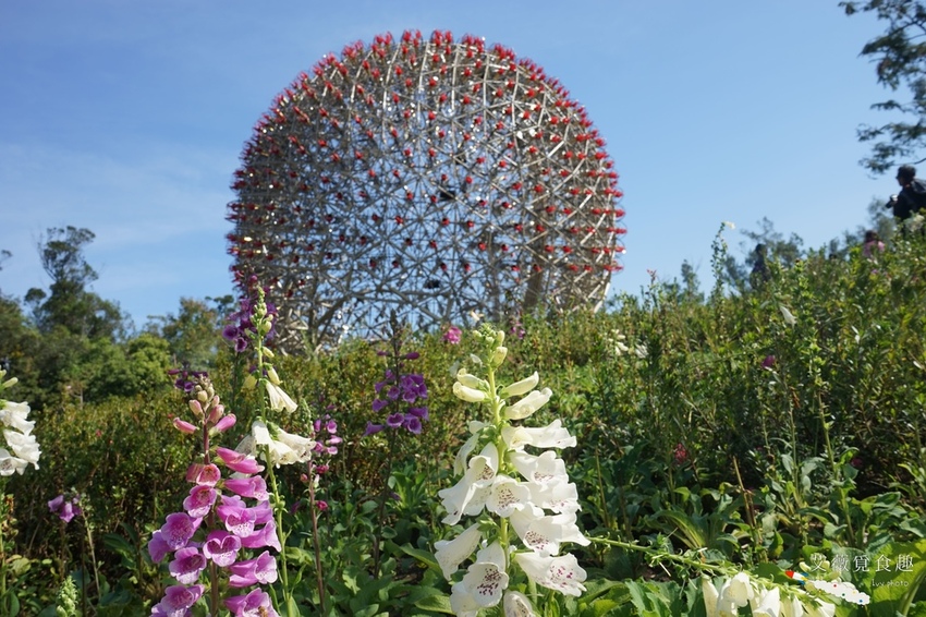 台中花博后里森林園區最強教戰攻略