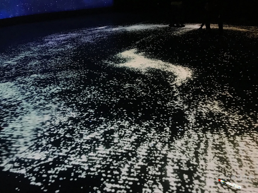 台中花博后里森林園區最強教戰攻略