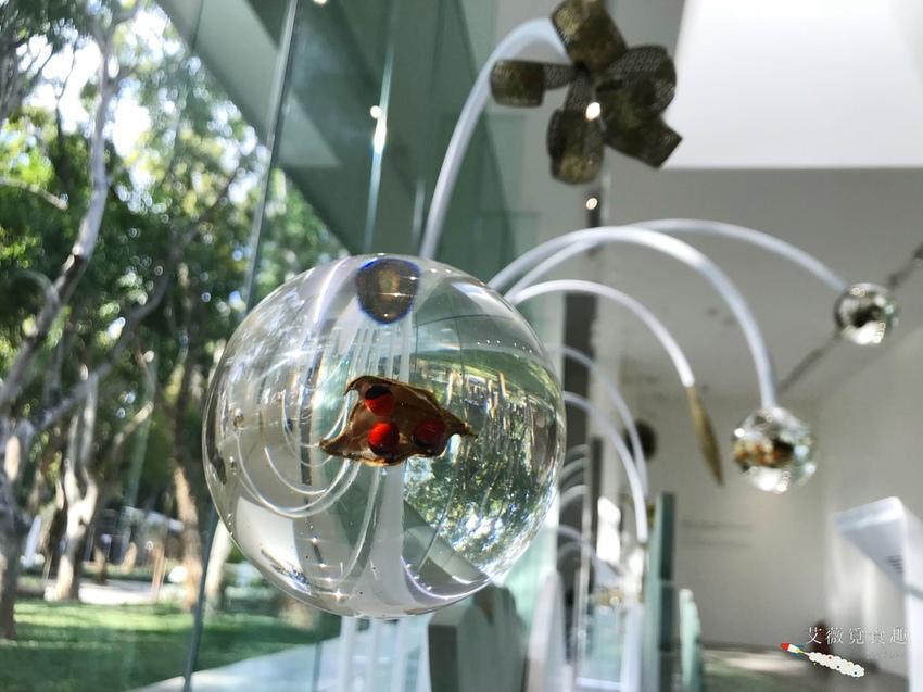 台中花博后里森林園區最強教戰攻略