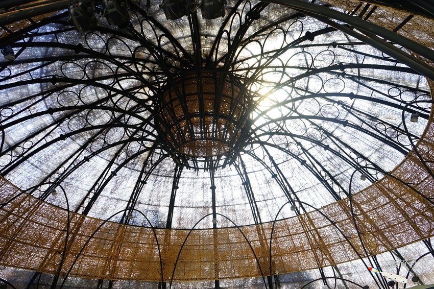 台中花博后里森林園區最強教戰攻略