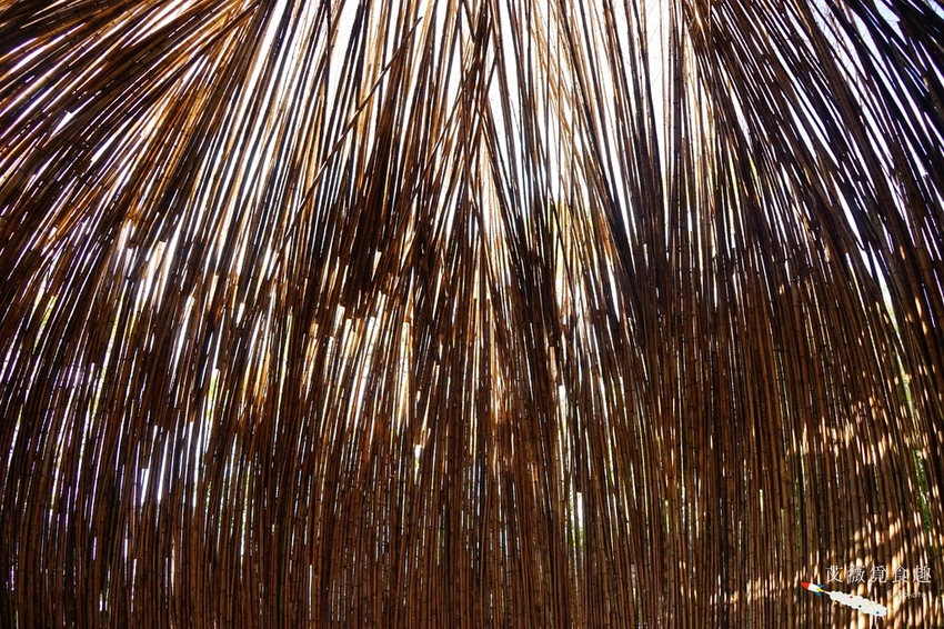 台中花博后里森林園區最強教戰攻略