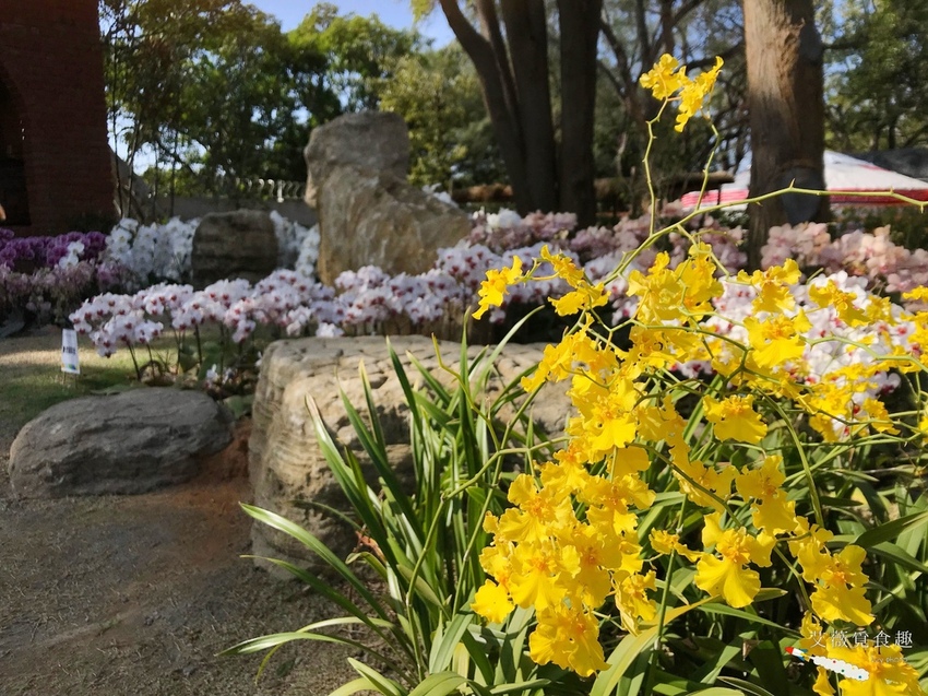 台中花博后里森林園區最強教戰攻略