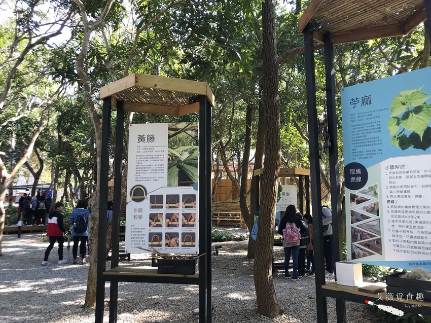 台中花博后里森林園區最強教戰攻略