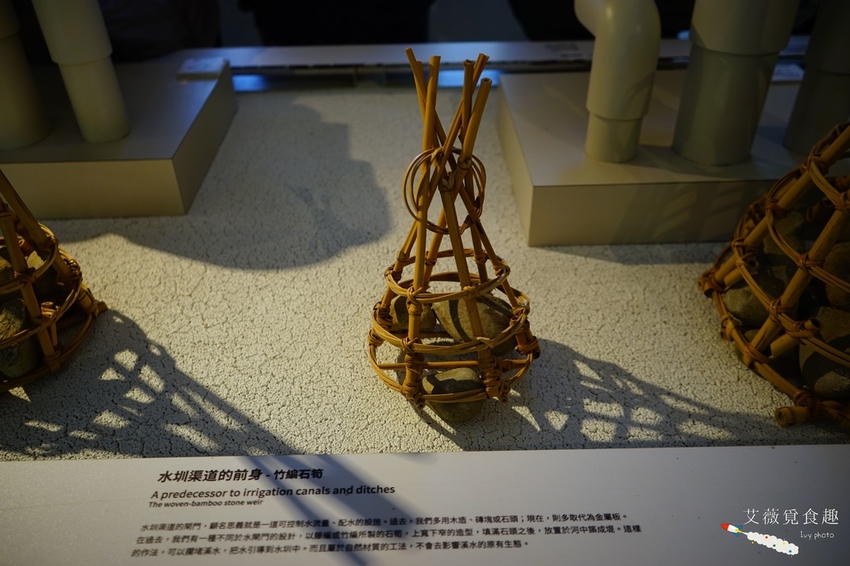 台中花博后里森林園區最強教戰攻略