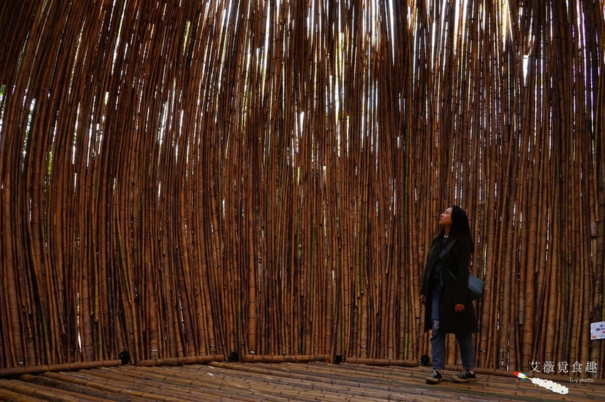 台中花博后里森林園區最強教戰攻略