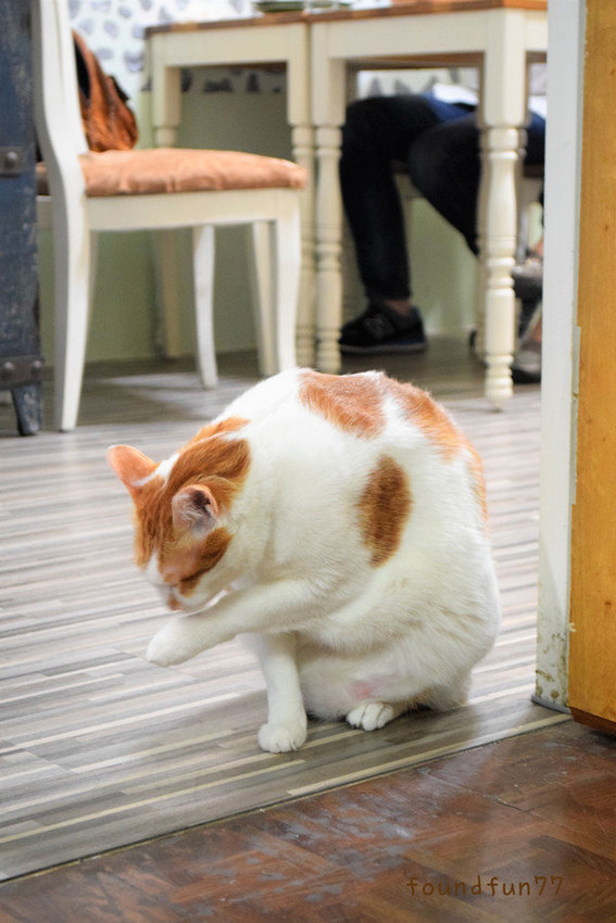 DSC_0857_副本.jpg DSC_0857_副本.jpg