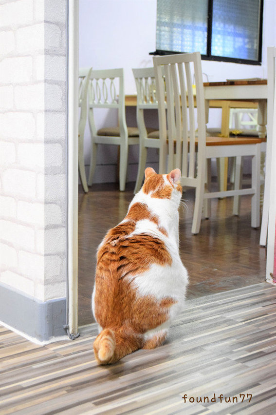 DSC_0854_副本.jpg DSC_0854_副本.jpg