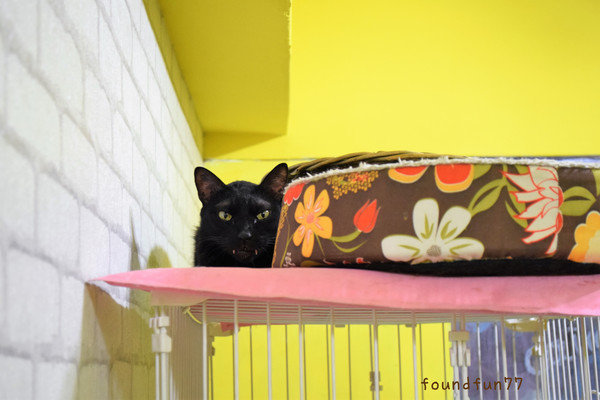 DSC_0872_副本.jpg DSC_0872_副本.jpg