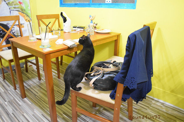 DSC_0865_副本.jpg DSC_0865_副本.jpg