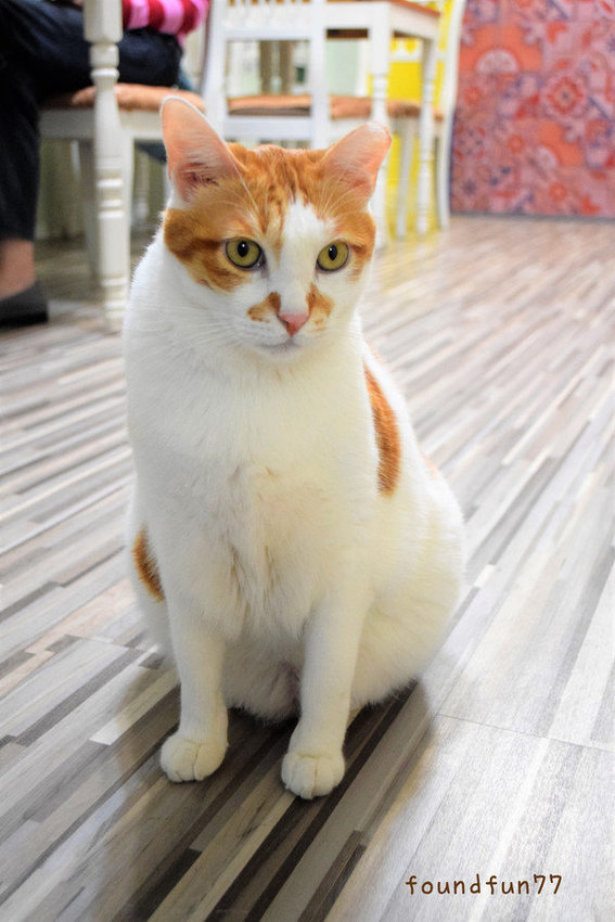 DSC_0870_副本.jpg DSC_0870_副本.jpg