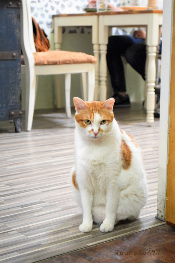 DSC_0856_副本.jpg DSC_0856_副本.jpg