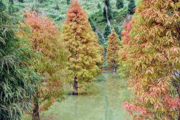 LRG_DSC08004 (1).JPG