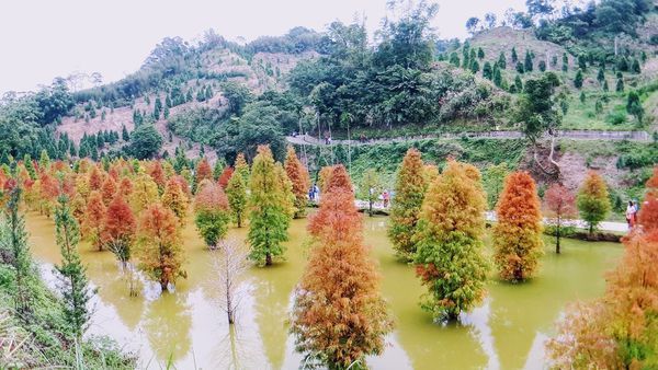 20181118_101821 (1).jpg