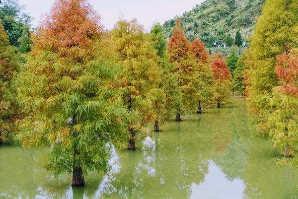 LRG_DSC08005 (1).JPG