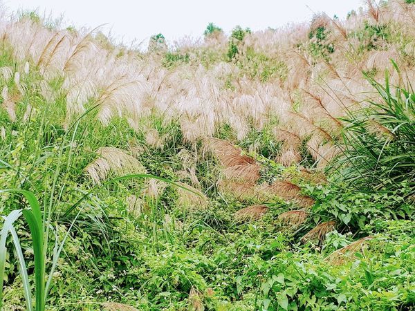 2018-11-18-09-39-23 (1).jpg