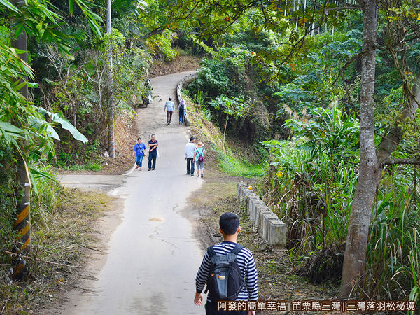 三灣落羽松秘境08-上坡.JPG
