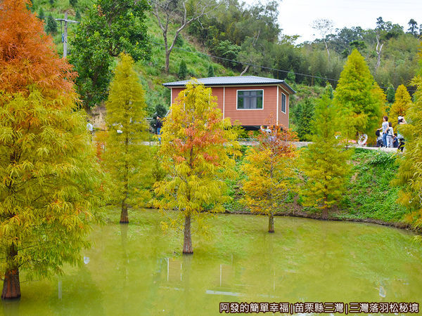 三灣落羽松秘境21-池畔旁的木屋.JPG