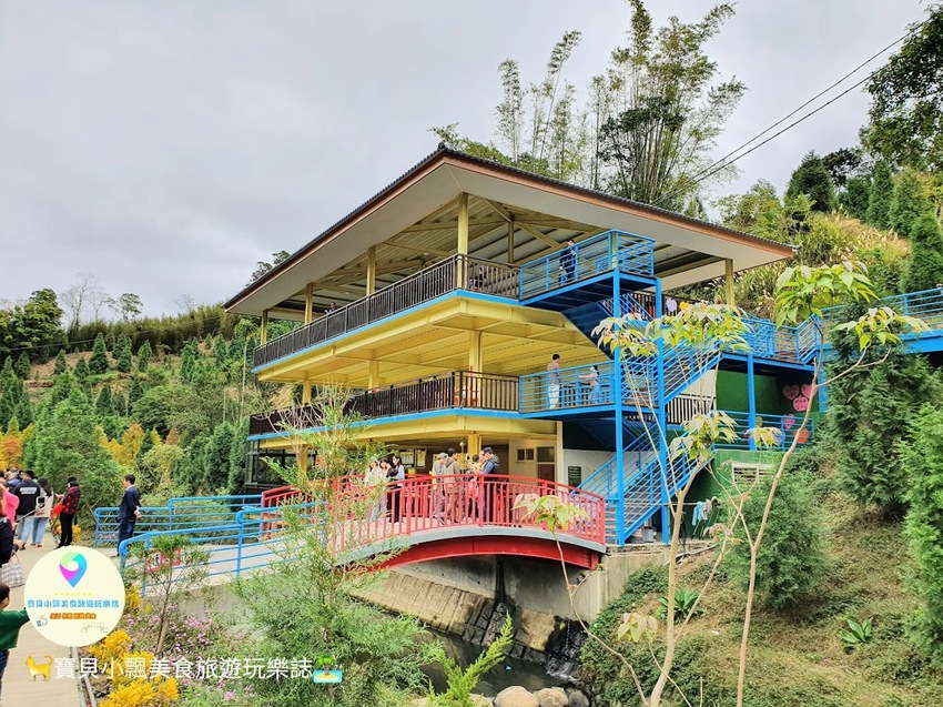 [遊]苗栗 欣賞美麗落羽松 來苗栗就對了 台三線101K 三灣落羽松
