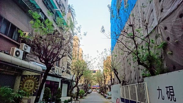 46450857_2142186929146318_5506221405743611904_n