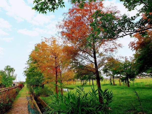 2018-11-16-15-03-07 (1).jpg