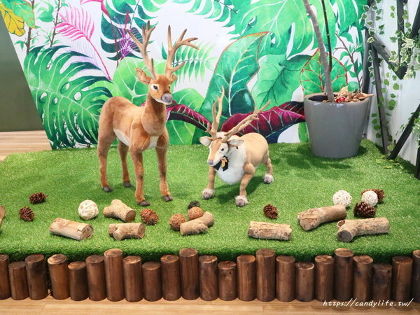 麋鹿的鍋物:台中美食│麋鹿の鍋物〃火鍋店也吃的到薑母鴨,還有明治冰淇淋讓你吃到飽!