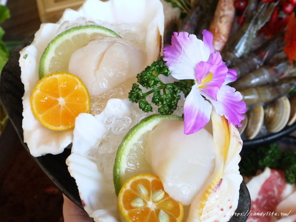 麋鹿的鍋物:台中美食│麋鹿の鍋物〃火鍋店也吃的到薑母鴨,還有明治冰淇淋讓你吃到飽!