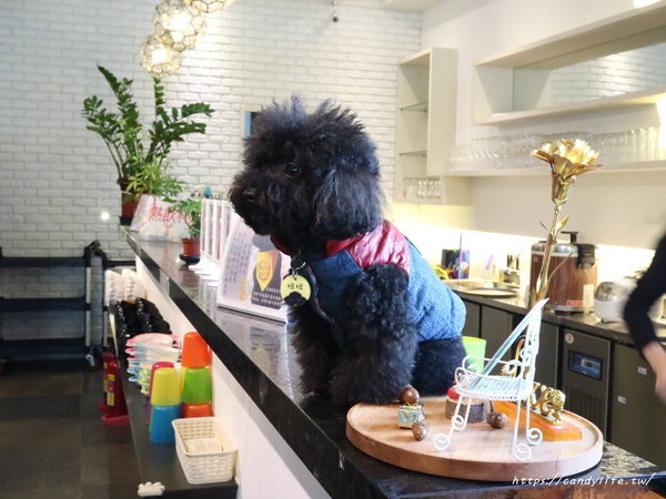 麋鹿的鍋物:台中美食│麋鹿の鍋物〃火鍋店也吃的到薑母鴨,還有明治冰淇淋讓你吃到飽!