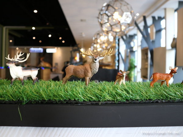 麋鹿的鍋物:台中美食│麋鹿の鍋物〃火鍋店也吃的到薑母鴨,還有明治冰淇淋讓你吃到飽!