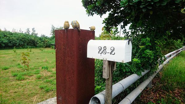 46470575_2145012935530384_166967326078402560_n