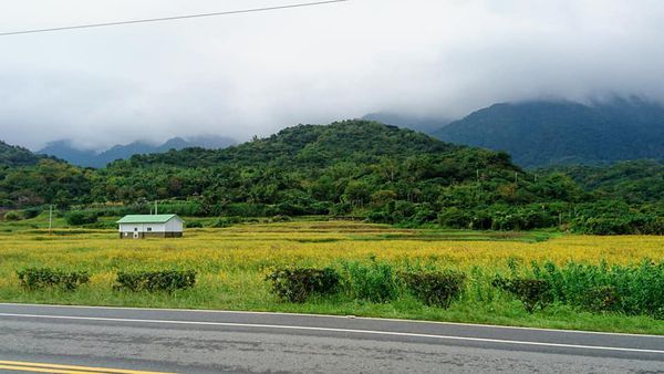 46514411_2144791205552557_1925417526511009792_n