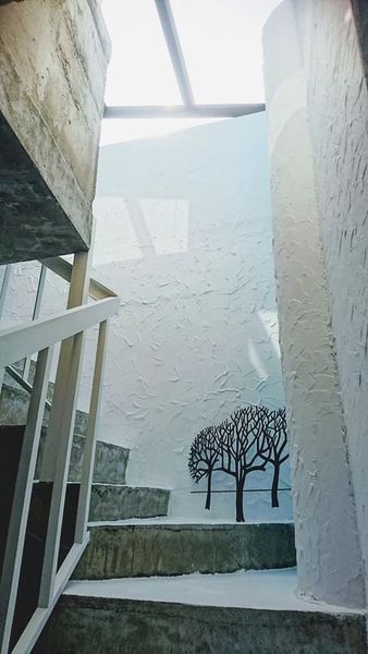 46489655_2145782335453444_9023974087034142720_n