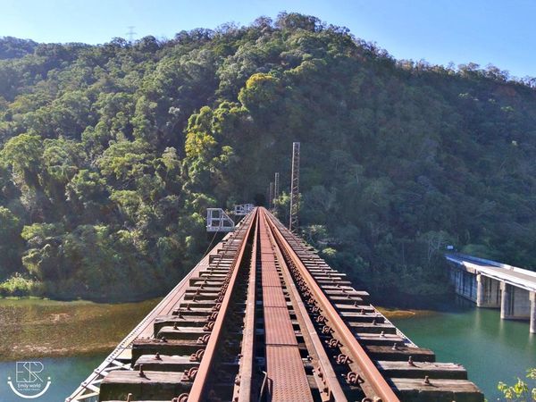 苗栗三義舊山線鐵道自行車 (50).jpg