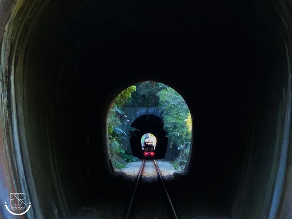 苗栗三義舊山線鐵道自行車 (24).jpg